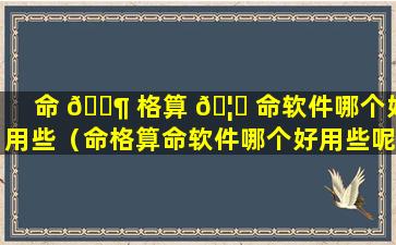 命 🐶 格算 🦍 命软件哪个好用些（命格算命软件哪个好用些呢）